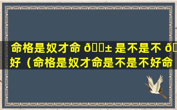 命格是奴才命 🐱 是不是不 🐒 好（命格是奴才命是不是不好命）